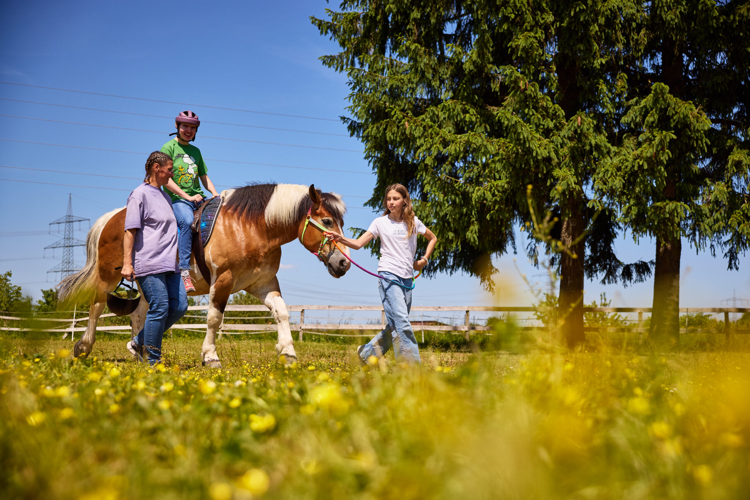 Besucht uns beim Frühlingsmarkt